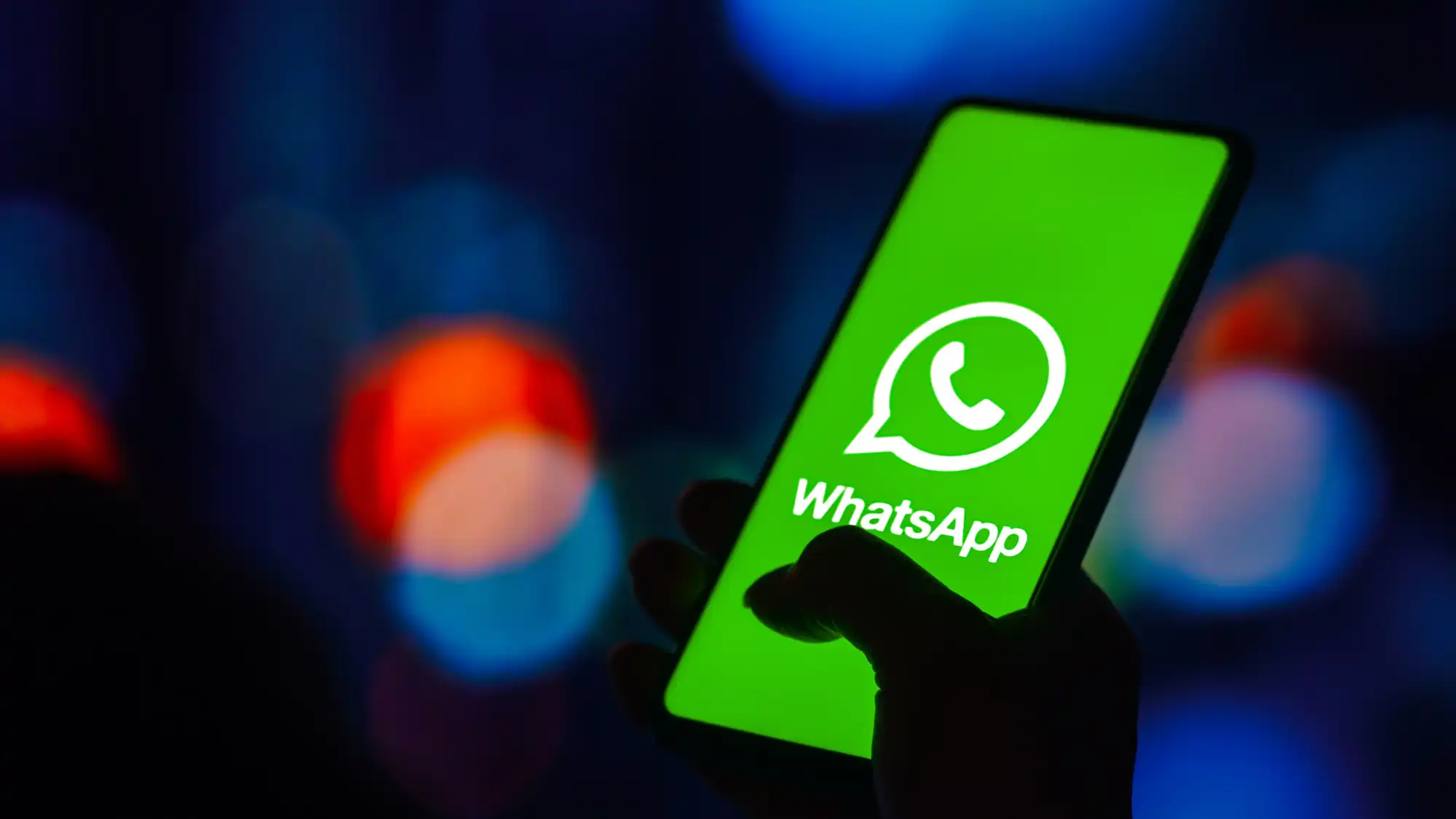 Get New Zealand area codes and phone numbers in one click! Analyze WhatsApp user activity to optimize your social media strategy.